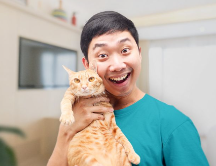 Manfaat Memelihara Kucing bagi Kesehatan Mental